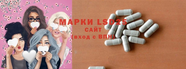 прущие грибы Алзамай