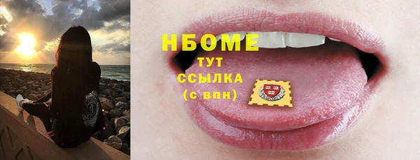 прущие грибы Алзамай