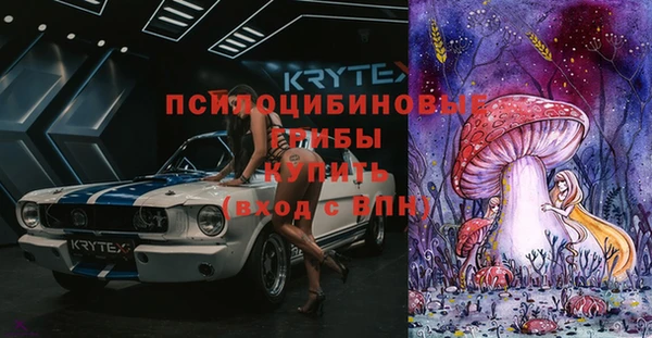 молекула духа Алексеевка