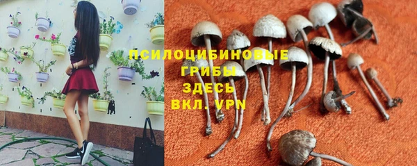 молекула духа Алексеевка