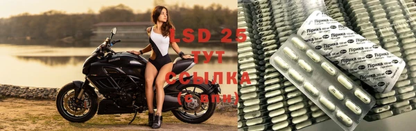 прущие грибы Алзамай