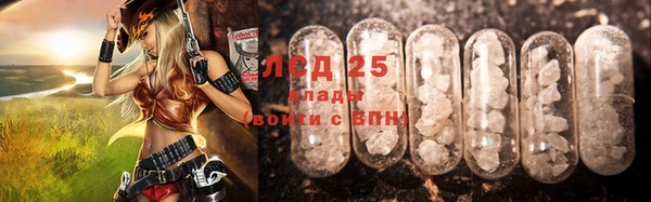 прущие грибы Алзамай