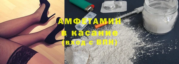 прущие грибы Алзамай