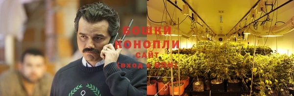 молекула духа Алексеевка