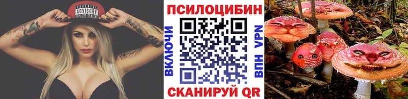 Псилоцибиновые грибы Psilocybine cubensis мега Краснокамск